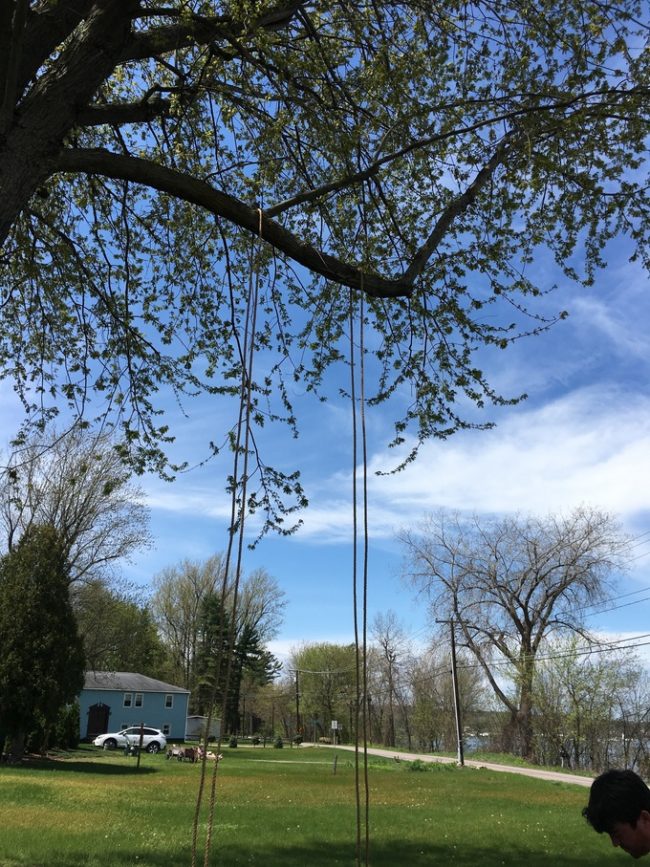 After looping the rope over a thick branch, getting the swing level would be a task in and of itself.